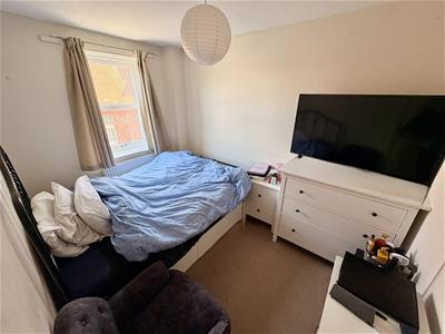 Picture 7
